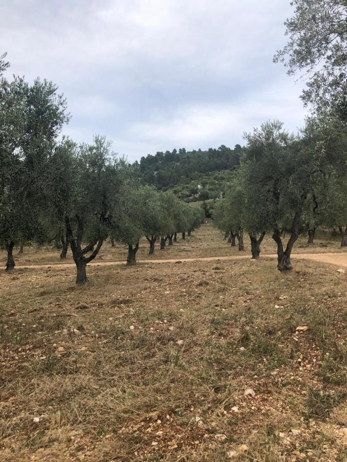 La Cartolina Bis Daire Vieste Dış mekan fotoğraf